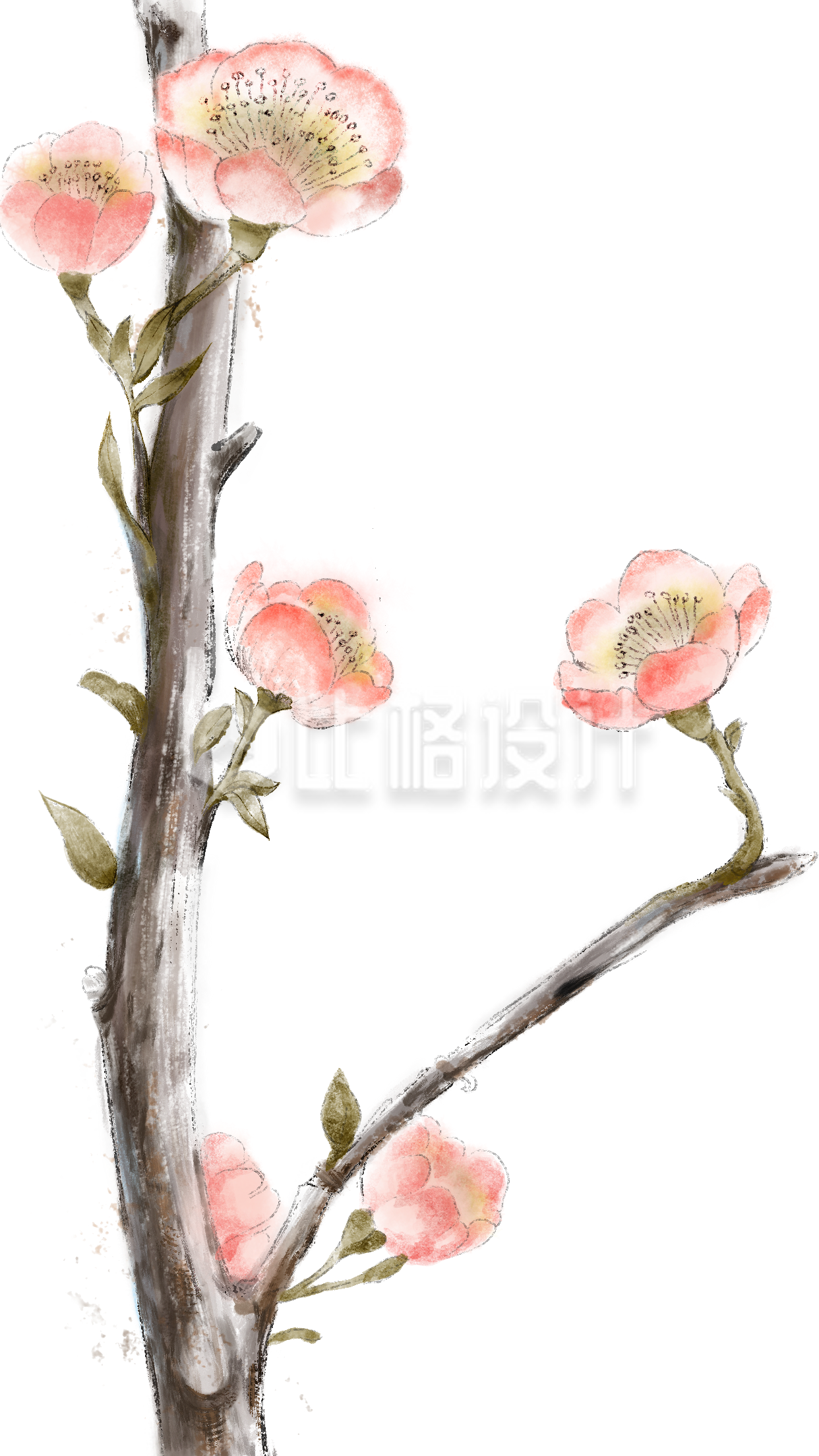 粉色手绘风树枝桃花春天插画