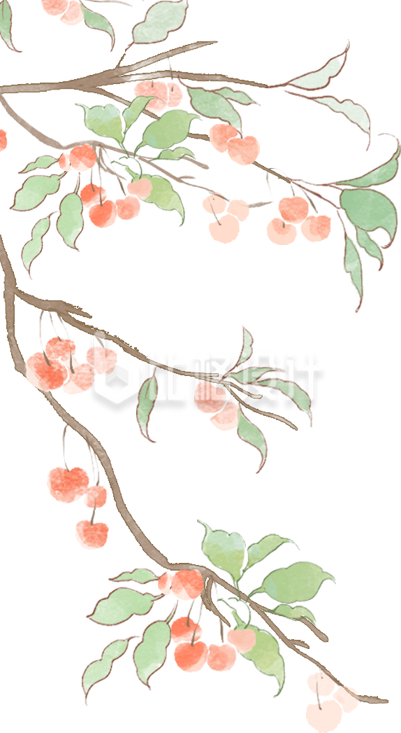 绿色手绘风樱桃树枝插画