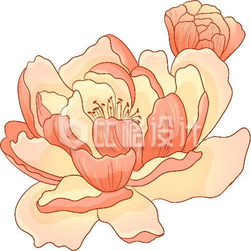 黄色手绘风花朵插画