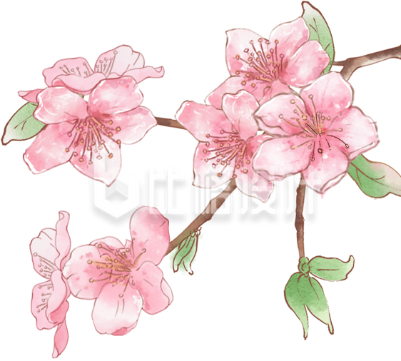 粉色手绘风桃花树枝春天插画