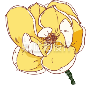 黄色手绘风花朵插画
