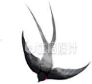 灰色水墨风燕子插画春分春季春天