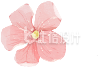 粉色手绘风花朵春天插画