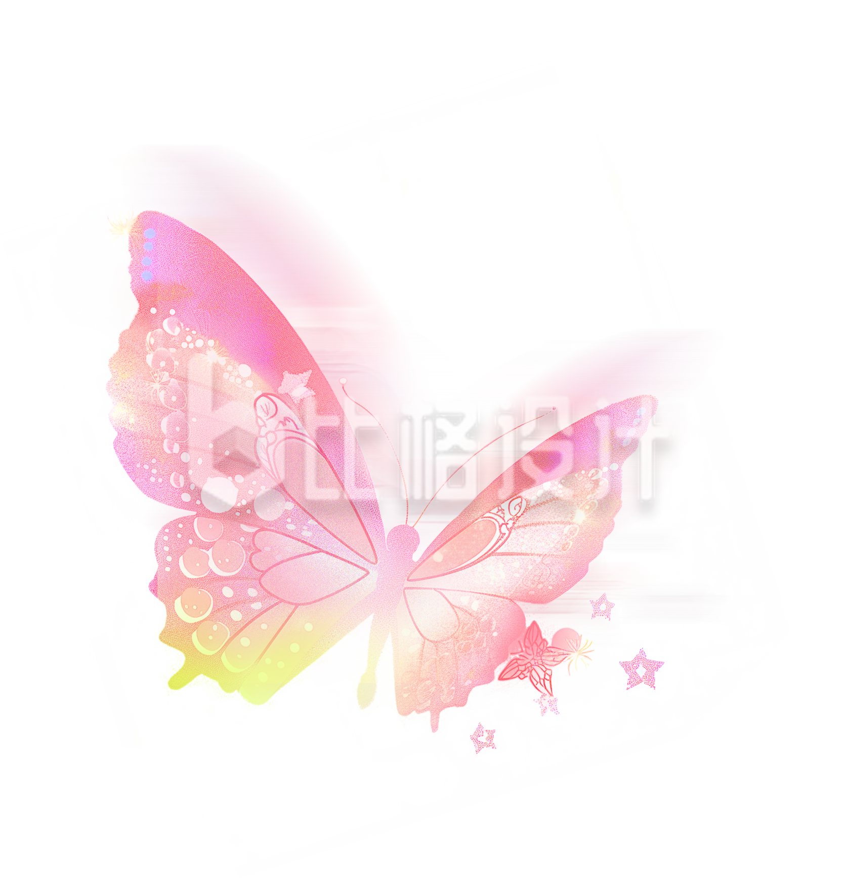 粉色渐变的蝴蝶