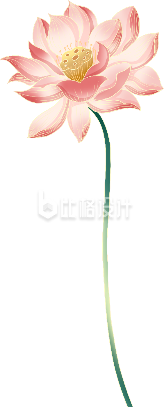 粉色手绘风荷花插画夏季夏至立夏