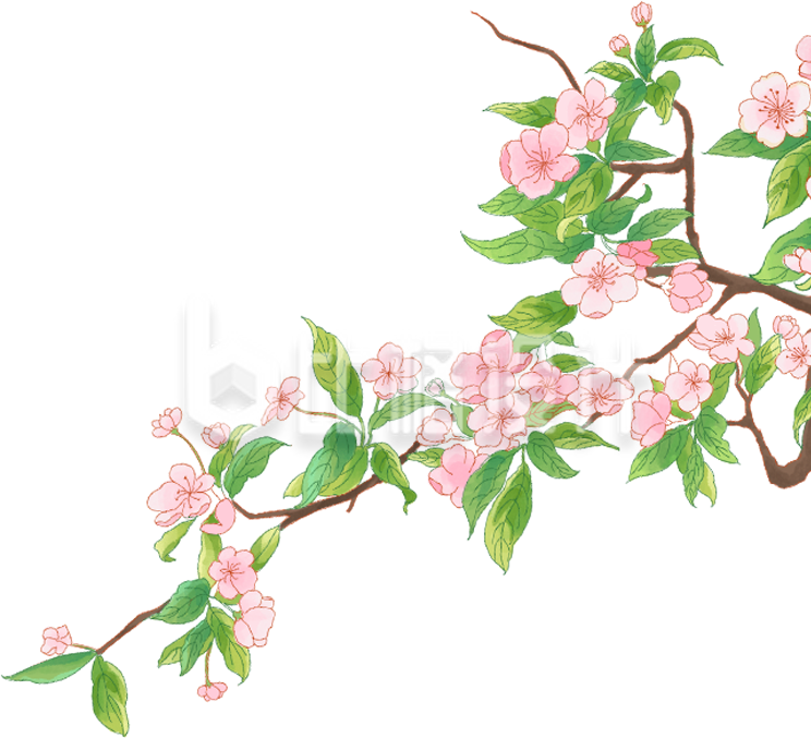 绿色手绘风桃花树枝插画