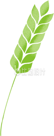 绿色手绘风麦穗插画