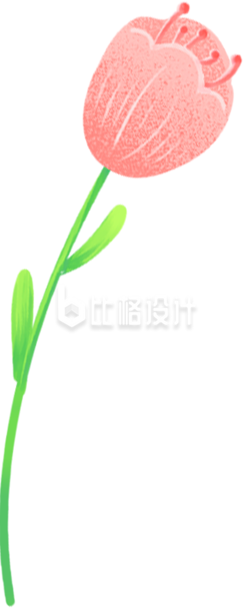 粉色手绘风郁金香花朵插画