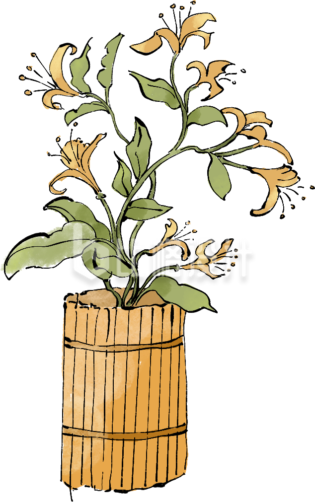 黄色手绘风百合插画