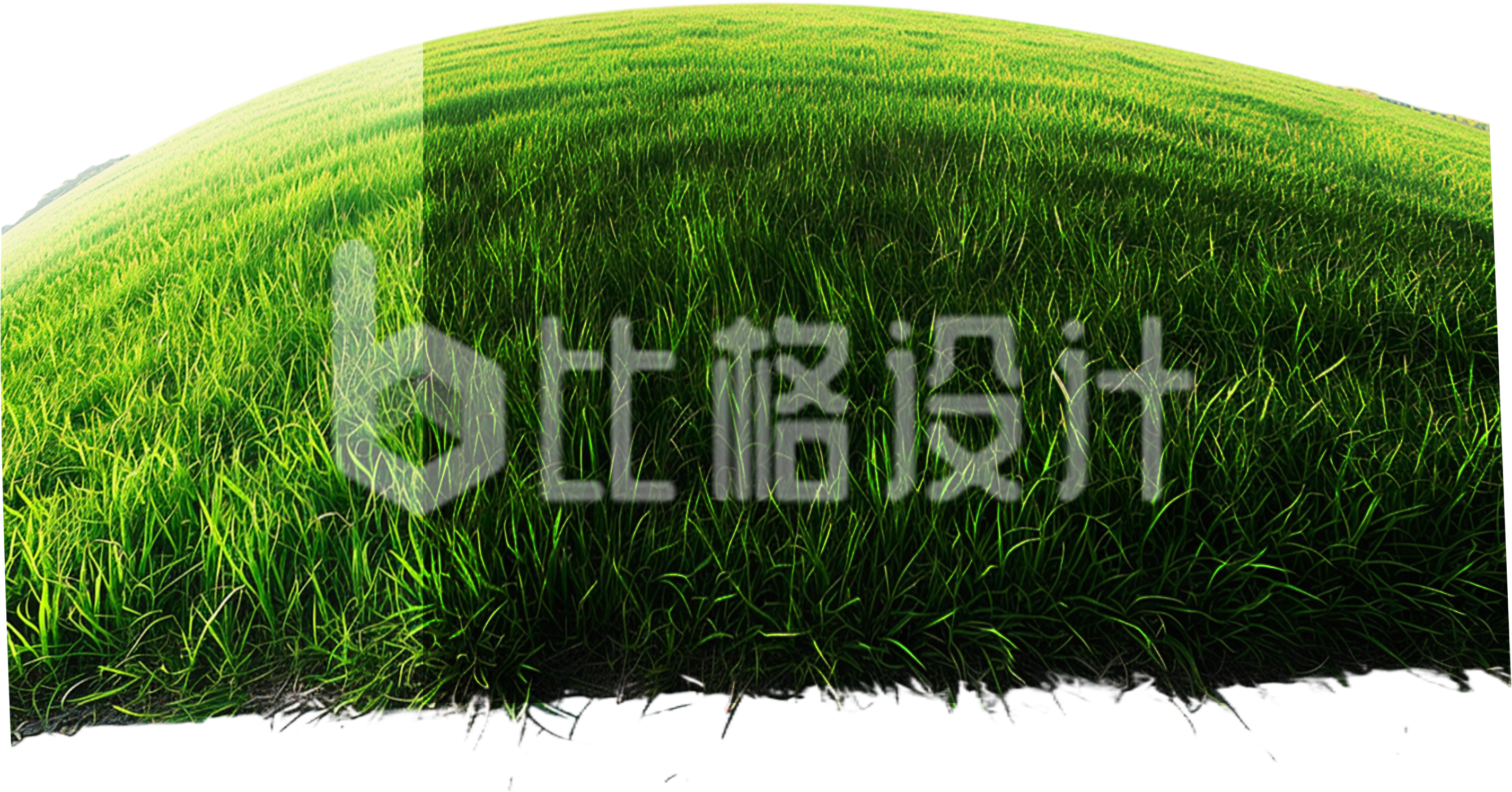 草原小草草坪实景免抠
