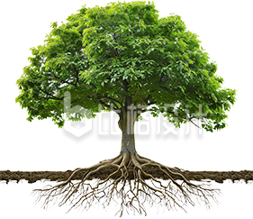 绿色大树生态环保环境生物