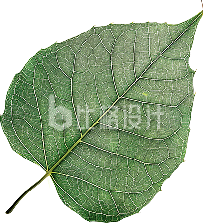 绿色树叶植物生物研究书签