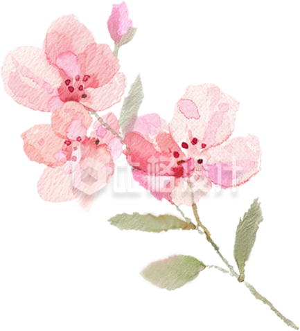 手绘粉色桃花