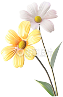 3D黄色花朵