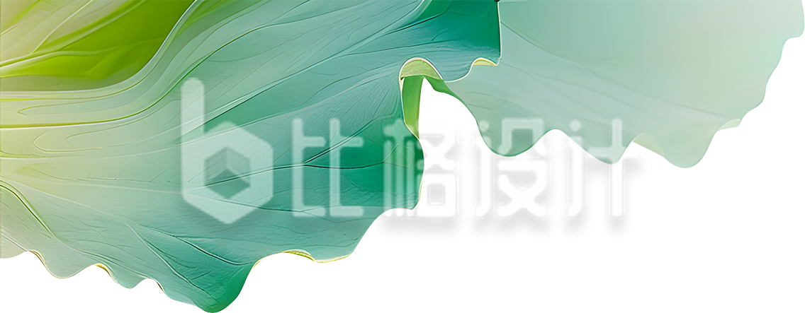 绿色的荷叶