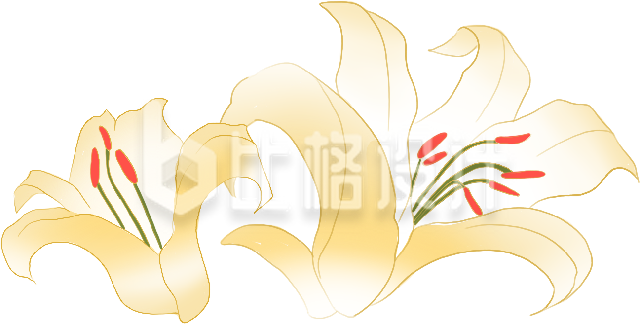 黄色手绘风花朵百合插画