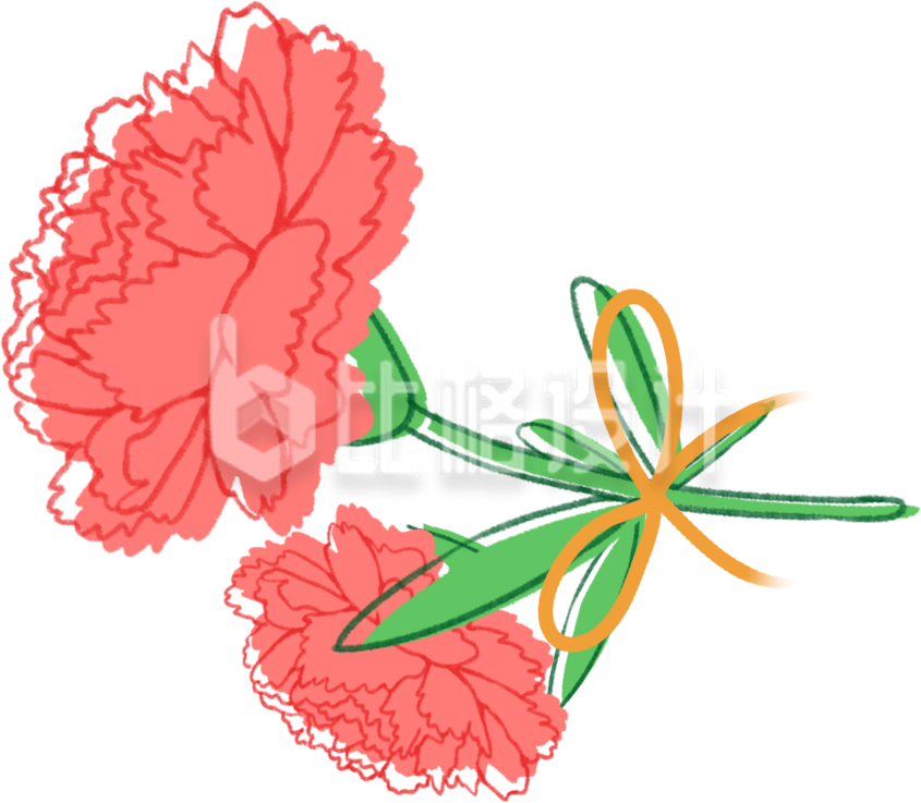 粉色手绘风康乃馨插画