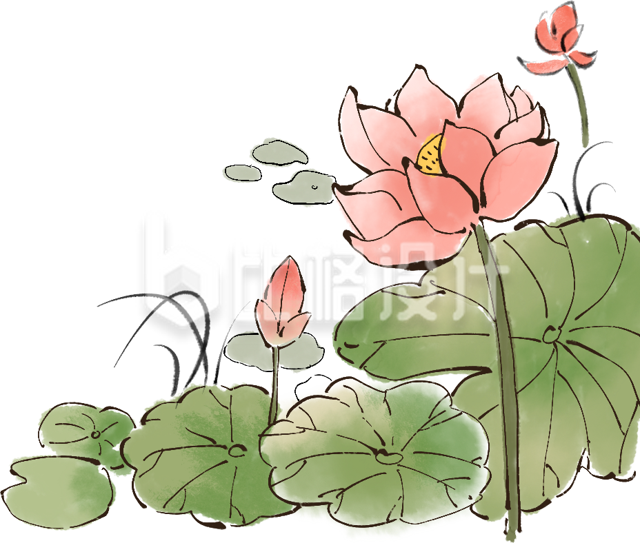 绿色手绘风荷叶荷花插画