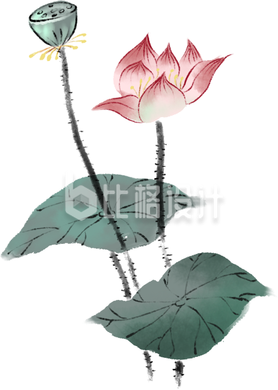 绿色手绘古风荷叶荷花插画
