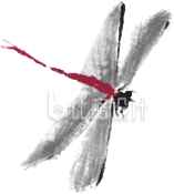 灰色手绘风蜻蜓插画