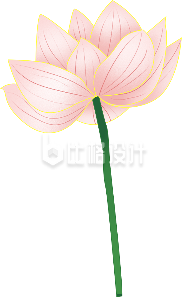 粉色手绘风荷花插画夏季夏至立夏 粉色手绘风荷花插画夏季夏至立夏