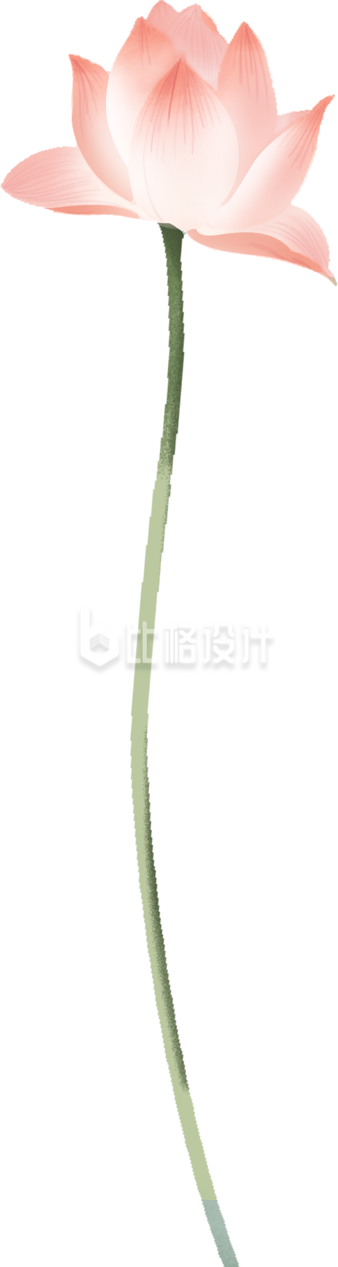 粉色手绘风荷花插画夏季夏至立夏