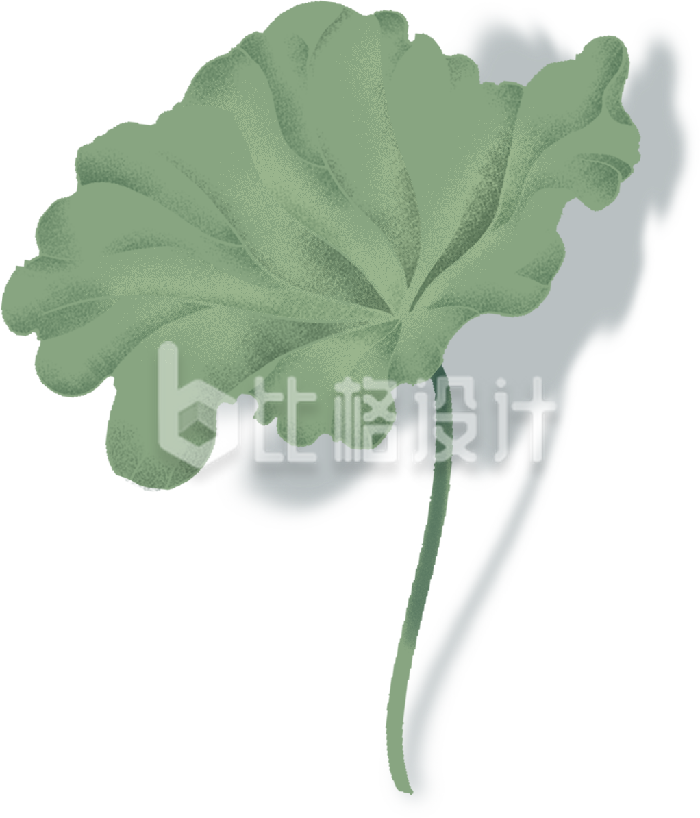 绿色手绘风荷叶荷花插画
