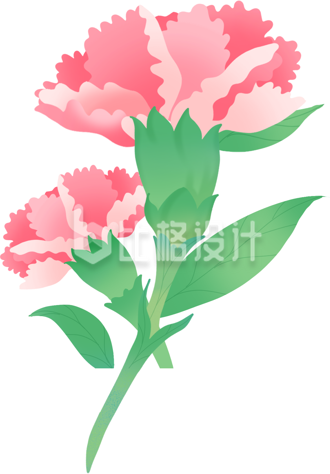粉色手绘风康乃馨插画