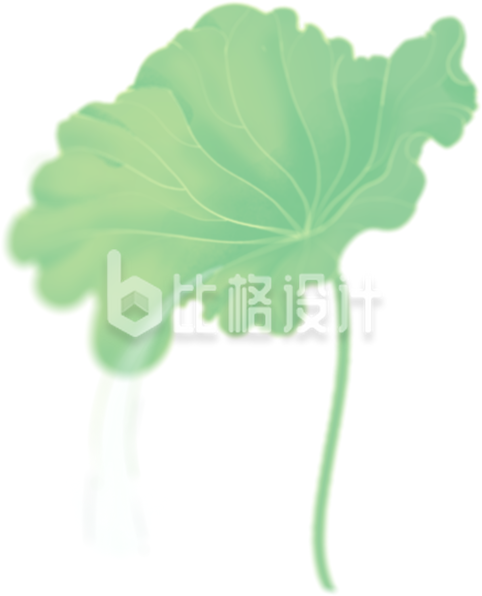 绿色手绘风植物荷叶夏季