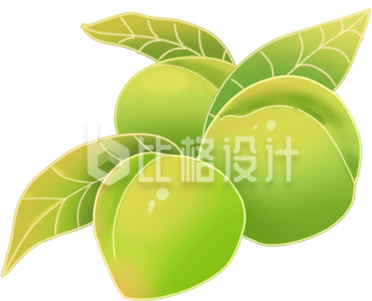 绿色手绘风李子插画