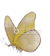 黄色手绘风蝴蝶插画春天