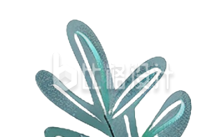 植物叶子