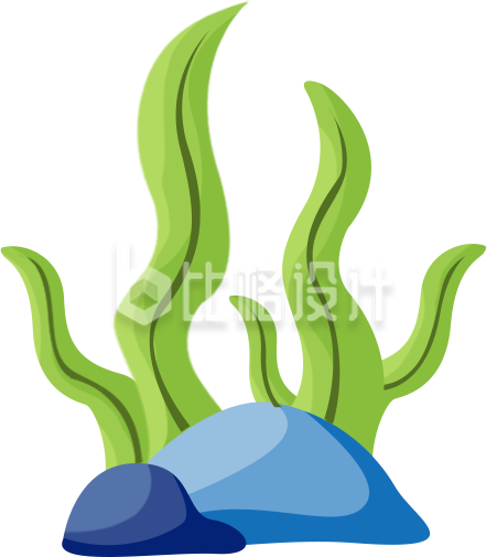 水草石头海洋手绘插画