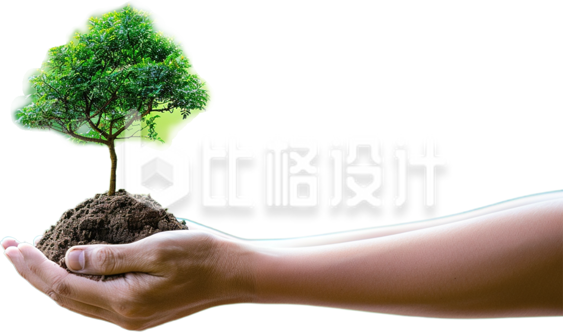 手拖着一颗带土壤的树苗