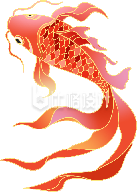 红色手绘风锦鲤插画