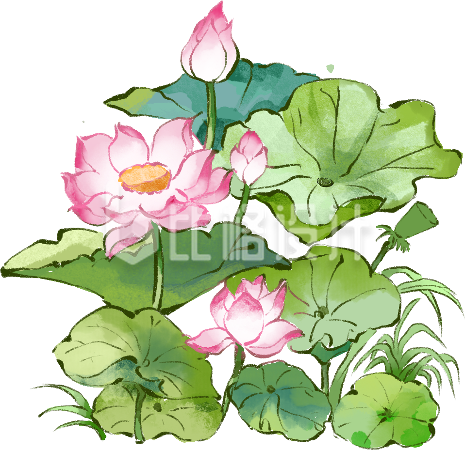 绿色手绘风荷叶夏季节气宣传插画