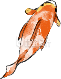 橙色水彩风小鱼锦鲤插画