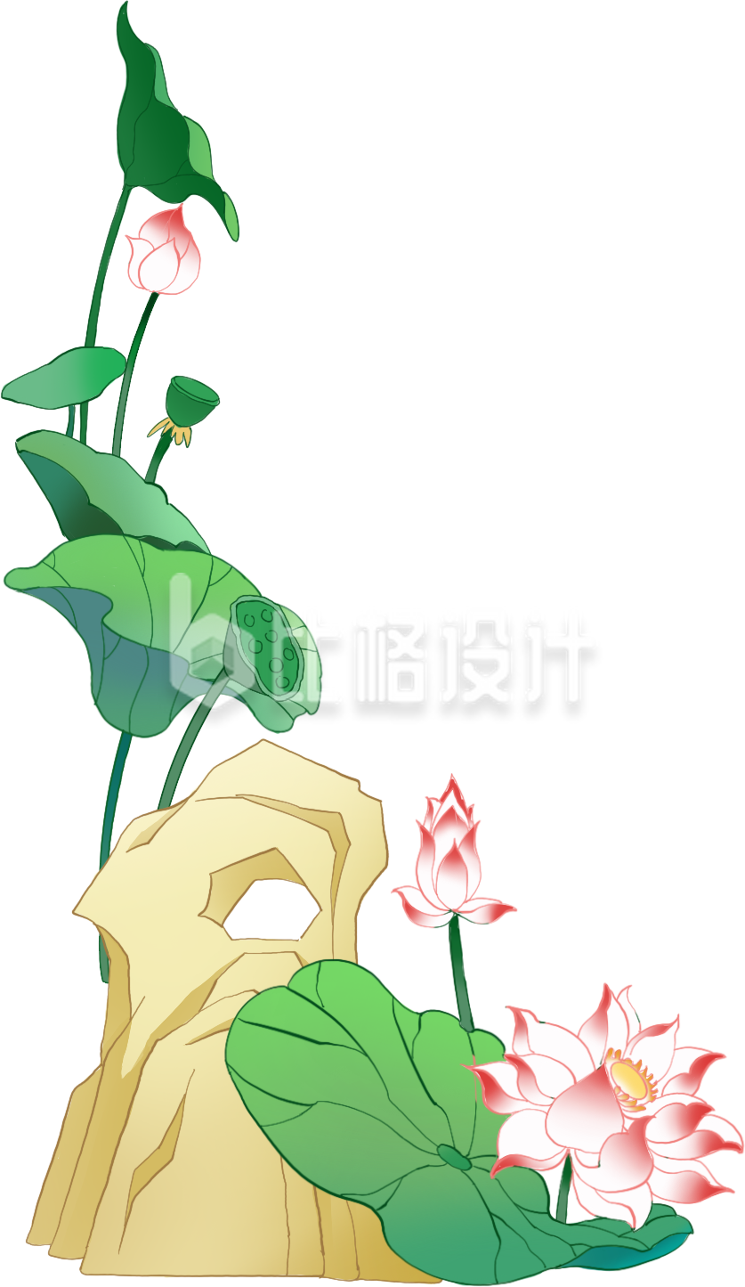 绿色手绘风荷叶荷花假山插画