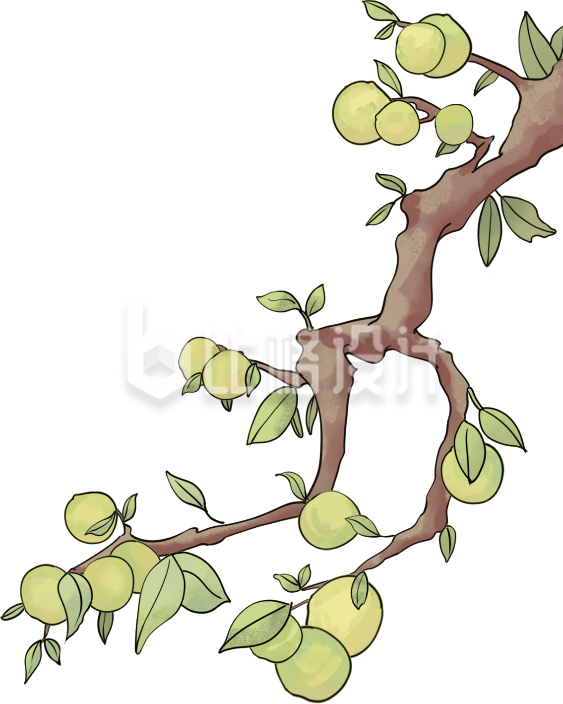 绿色手绘风树枝果树插画