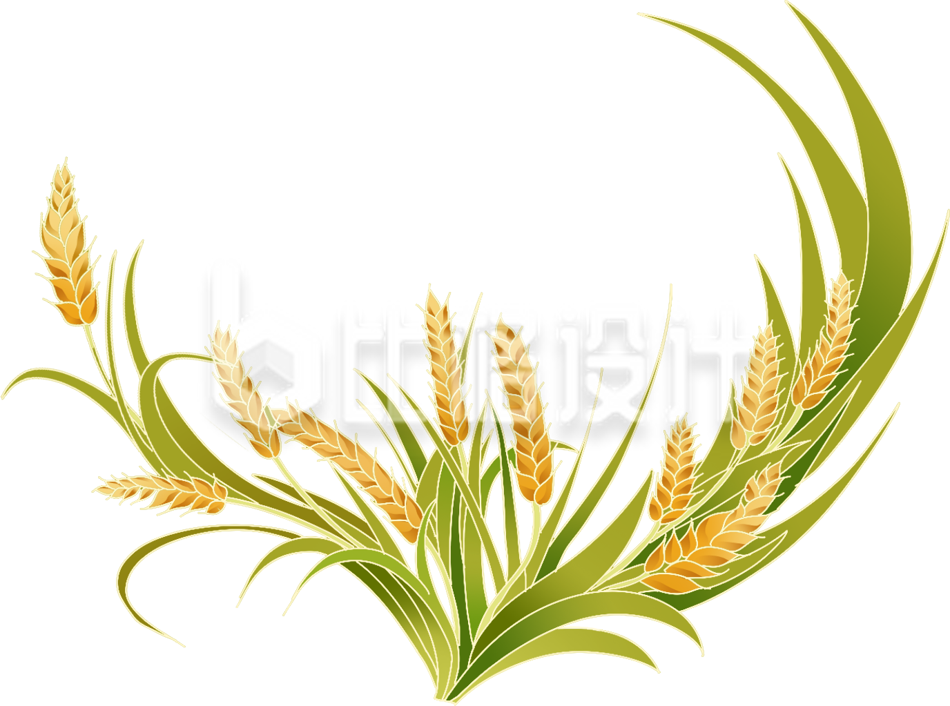 绿色手绘风麦子麦穗插画