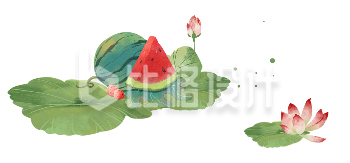荷花荷叶水墨插画手绘
