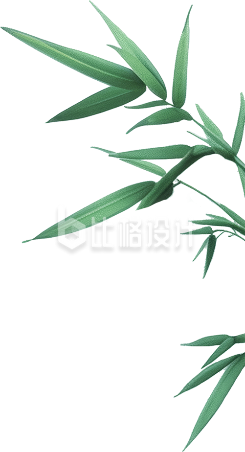 绿色的竹叶