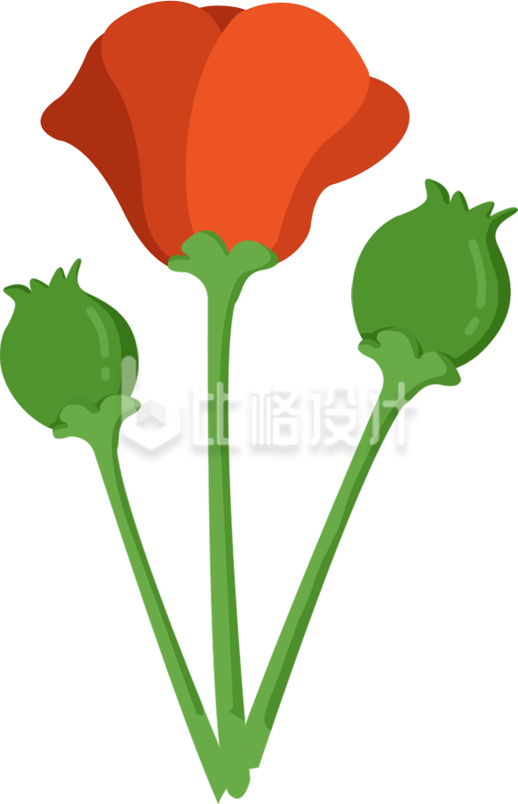 禁毒禁止植物手绘插画