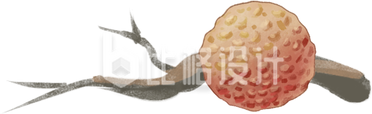 红色夏季水果荔枝插画
