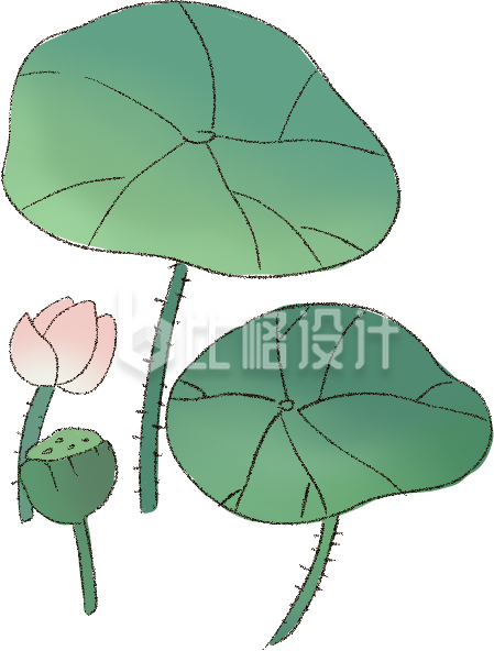 绿色手绘风植物荷叶荷花夏季插画