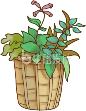 绿色手绘风植物中草药插画