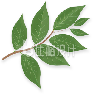 植物树叶绿色手绘插画
