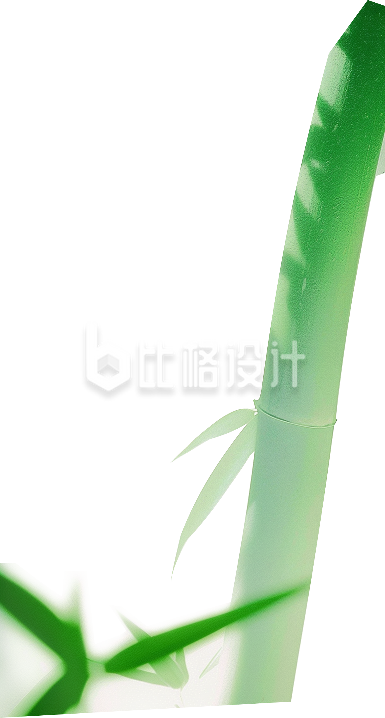 翠绿色的竹子和竹叶