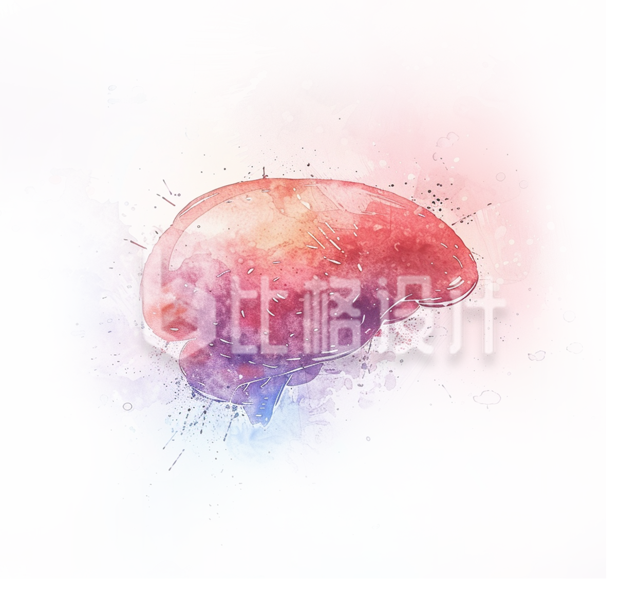 肝脏