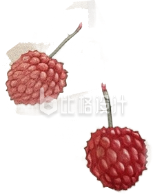 荔枝